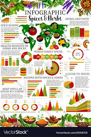 Spices Infographic With Herb And Seasoning Charts