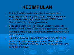 Secara sederhana lengkung refleks terdiri dari organ reseptor, neuron aferen, neuron efektor dan organ. Makalah Lengkung Refleks 2 Enfamiljegrej