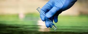 Salmonella bacteria typically live in animal and human intestines and are shed through feces. Salmonella Can Contaminate Water And Foods Water Testing With Merieuxnutrisciences