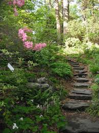 Giw Framingham Garden In The Woods Landscaping Plants Shade Garden