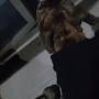 Profile Picture of Nicholas R Westover - YouTube (@youtube.com) on Google