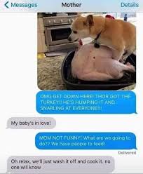 Dude with cute dog pfp. Neat Doggo Memes Photos Facebook