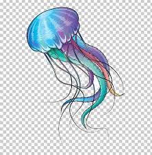 Blue Jellyfish Marine Invertebrates Ocean Png Art Blue Blue Jellyfish Blue Rose Coast Blue Jellyfish Art Jellyfish