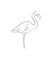 Art projects for kids is a collection of fun and easy art projects that include hundreds of how to draw tutorials. How To Draw A Flamingo Step By Step Jae Johns