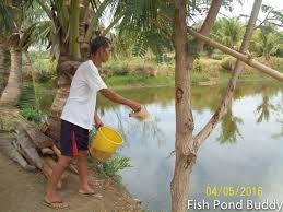 Here are a few tips that'll get you started on your search for your first goats. Fish Pond Buddy Fish Farm Activities