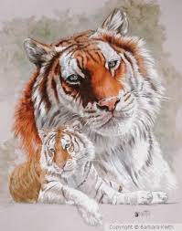 A rare golden tabby tiger, only 30 of which are known to exist. Opulent By Barbara Keith Artwanted Com