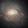 دنیای 77?q=https://www.mentalfloss.com/article/502533/stunning-photo-spiral-galaxy-messier-77-shows-its-beauty-and-power from esahubble.org