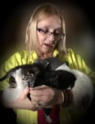 Vickie Sue Caylor Obituary (2025)