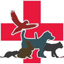 Check spelling or type a new query. A Family Pet Hospital 30 Photos 106 Reviews Veterinarians 1455 Herndon Ave Clovis Ca Phone Number