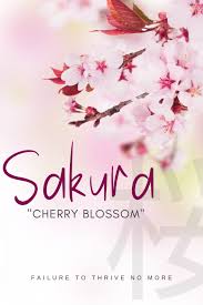 60 Of The Most Beautiful Japanese Girl Names Babynames Babygirl Parenting Momtobe Uniqu In 2020 Beautiful Baby Girl Names Beautiful Japanese Girl Cool Baby Names