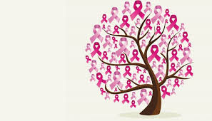 Pin On Cancer De Mama