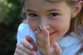 Discover — Acacia Academy