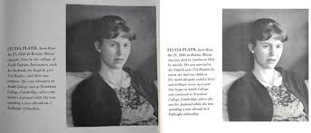 Many of the truths behind her final years were exposed after her death, discovered in letters revealing the dark secrets of her tragic relationship with ted hughes. Doubletake Sylvia Plath S Two Different Biographies In I The Modern Poets I 1963