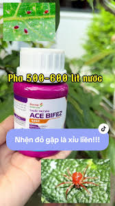 Ace bifez 43SC