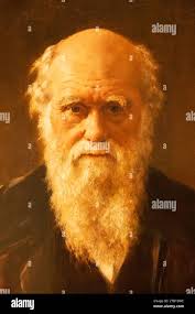 Charles darwin portrait hi-res stock photography and images