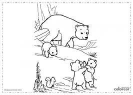 Con estas imágenes aprenderás sobre tu familia. Dibujos De Osos Para Colorear