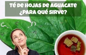Te De Hoja De Aguacate Para Que Sirve Health Remedies Home Remedies Health Fitness