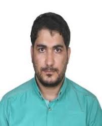 Improving Persian Named Entity Recognition Through Multi Task Learning