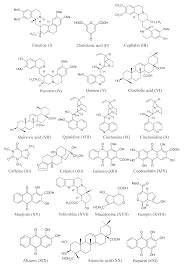 Image result for Oxyanthus zanguebaricus