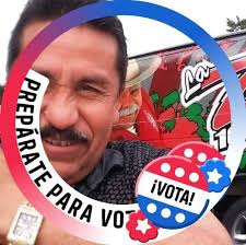 Looking for a house cleaner !