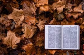 Come touch the hem of his garment and receive wholeness and healing from the true companion of your heart. 3 Instructions On How To Touch The Hem Of His Garment Poema Chronicles