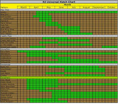 nj hatch chart blue winged olive fly fishing grey fox