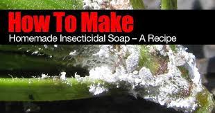 This insecticidal soap recipe is great for those warm summer nights and when you go camping. Homemade Insecticidal Soap How To Make Diy Recipe Insecticidal Soap Garden Pests Garden Pest Control