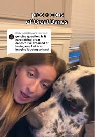 Great Dane Pros and Cons