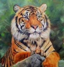 Nilgun Oktay Adli Kullanicinin Animals Hayvanlar Panosundaki Pin Vahsi Hayvanlar Tablolar Sanat