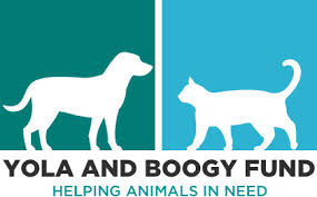 13,158 likes · 810 talking about this · 1,099 were here. Pets For Adoption At Yola And Boogy Fund In Cheyenne Wy Petfinder