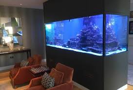 We did not find results for: Beautiful Island Feature 3m Tropical Marine Reef Aquarium Aquatechniques