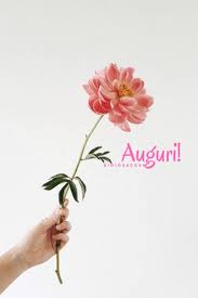 Auguri Rosa Fierezza Amore Amici Famiglia Colleghi Per Tutte Le Occasioni Compleanni Laurea Feste Feste Religiose Battesimo Co Buon Compleanno Compleanno Festa