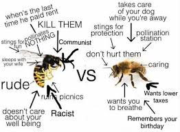 Wasps Vs Bees Bee Bored Funny Memes