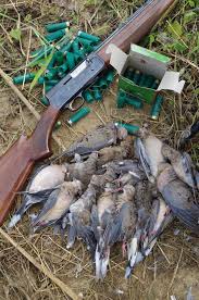 The migratory bird treaty act of 1918 forbids it. Where To Dove Hunt In Arkansas This Season
