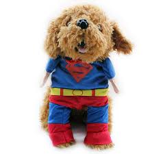 deguisement superman pour chien sa