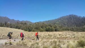 Kuota Pendakian 17 Agustus Penuh Simak Langkah Langkah Booking Online Pendaki Gunung Semeru Tribun Travel