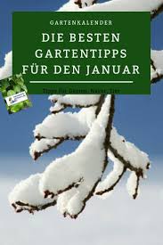 Ihr Wisst Nicht So Recht Was Ihr Im Januar Im Garten Tun Konnt Dann Schaut Rein Gartenkalender Garten Gartentipps