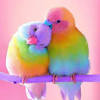 Love wallpapers hd sort wallpapers by: 1