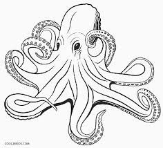 We did not find results for: Printable Octopus Coloring Page For Kids