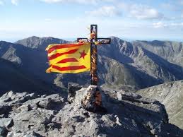 Resultat d'imatges de estelada onejant