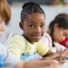 Online Professional Development Courses, Program