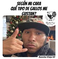 Gallos y gallinas finas