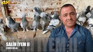 Bu Fiyatlar Cok Konusulacak Gaziantep Guvercin Ihalesi 2 Part Youtube