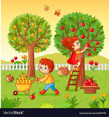 Boy And Girl Collect Fruit Harvest Vector Illustration With Children That Collect Apples And Pears In Art Drawings For Kids Autumn Garden Picture Composition