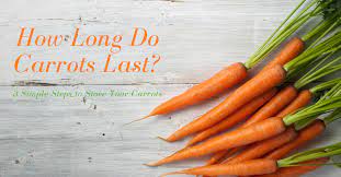 How Long Do Carrots Last 3 Simple Steps To Store Your Carrots