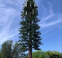 China Bionic Camouflaged Pine/Palm Tree Antenna Cell ...