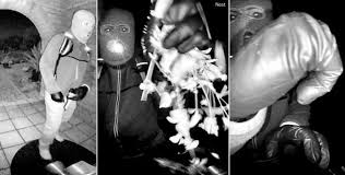 FBI releases surveillance photos in Nancy Guthrie kidnapping case