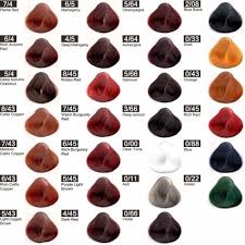 Shades Of Burgundy Hair Color Chart Best Picture Of Chart