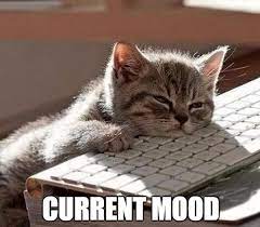 25 Best Sleepy Memes Sayingimages Com So Tired Meme Exhausted Humor Exhausted Meme