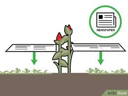 How to kill grass for garden bed. 4 Ways To Kill Grass Invading A Flower Bed Wikihow